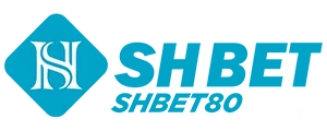 vnsh800bet.com Logo